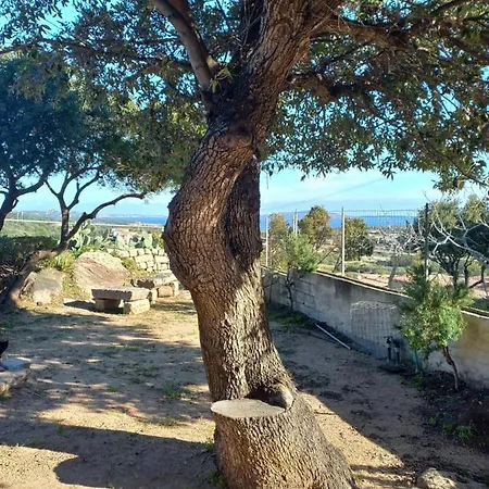 Dom wakacyjny Casa Vacanza Arzachena